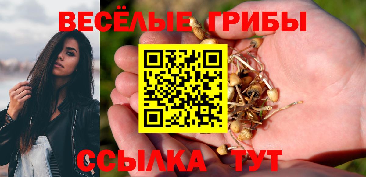 Псилоцибиновые грибы Psilocybe  Псилоцибиновые грибы GOLDEN TEACHER  Владивосток  Вход с VPN 